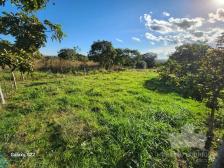Fazenda em N. S. Livramento