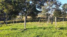 Fazenda em N. S. Livramento
