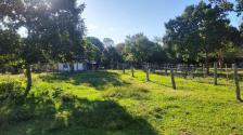 Fazenda em N. S. Livramento
