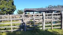 Fazenda em N. S. Livramento