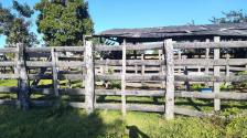Fazenda em N. S. Livramento