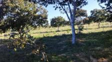 Fazenda em N. S. Livramento