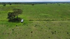 Fazenda em N. S. Livramento